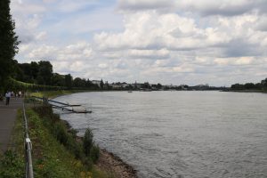 Blick auf Bonn und die Kennedy Brücke