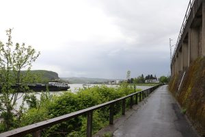 RheinRadWeg nach Remagen am romantischen Rhein entlang
