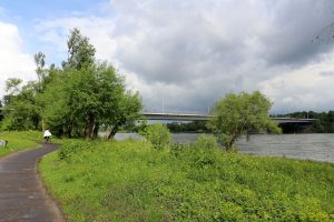 Rheinaue mit Konrad-Adenauer-Brücke